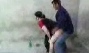 ουζμπεκικό ώριμο πρω ...