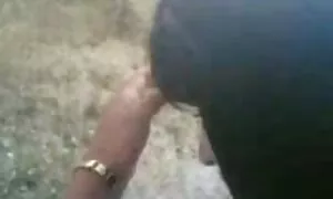 περσικό ερασιτεχνικό ...